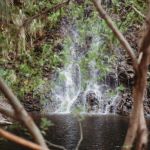 "Rise In Resilience" Women's 4-Day Empowerment Retreat